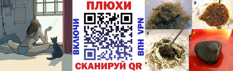 ГАШ VHQ  Кингисепп 