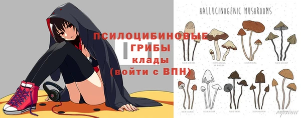 дживик Абинск