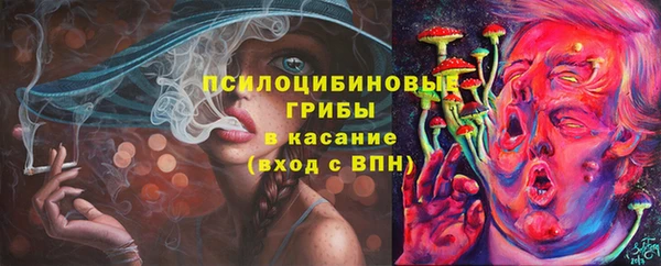 дживик Абинск