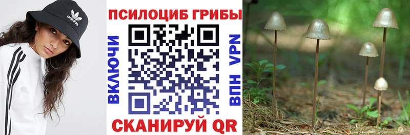 Псилоцибиновые грибы мицелий  купить наркоту  Кингисепп 